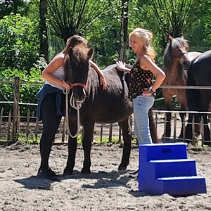Eva geeft instructie tijdens workshop met paarden